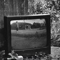 FujiXPro1-AFTON-6112.jpg