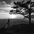 L1010364-Edit-Edit-Edit.jpg