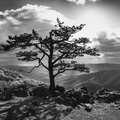 L1110855-Pano-Edit-BW-1.jpg