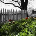 Flickr00004.jpg