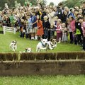 FoxfieldFamilyDay2015-4793.jpg