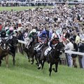 Foxfield_SP2016-Stillings_4399.jpg