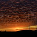 UVA-Sunrise-1-31-1.jpg